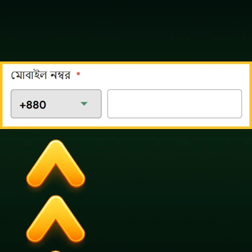 মোবাইল নম্বর প্রবেশ