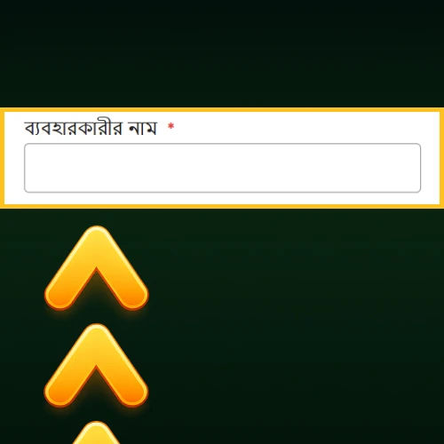 ব্যবহারকারীর নাম প্রবেশ