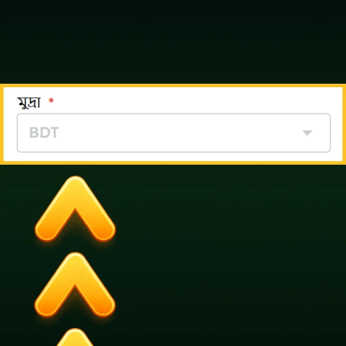 পছন্দের মুদ্রা নির্বাচন