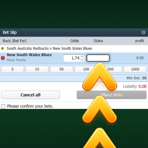 Stake amount entered in betting slip